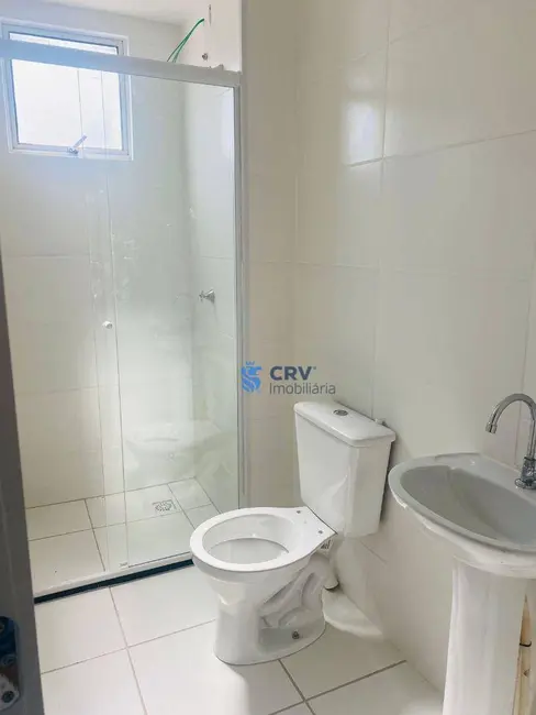 Foto 4 de Apartamento com 2 quartos para alugar, 47m2 em Jardim Maria Celina, Londrina - PR