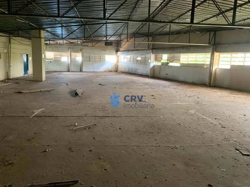 Foto 4 de Armazém / Galpão à venda e para alugar, 5246m2 em Boa Vista, Londrina - PR