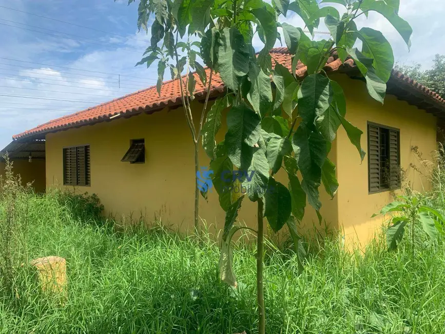 Foto 14 de Chácara à venda, 20000m2 em Limoeiro, Londrina - PR