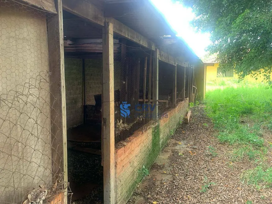 Foto 19 de Chácara à venda, 20000m2 em Limoeiro, Londrina - PR