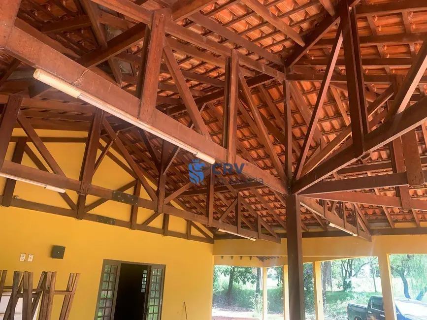 Chácara à venda, 20000m2 em Limoeiro, Londrina - PR - imagem 9 Foto 9 de Chácara à venda, 20000m2 em Limoeiro, Londrina - PR