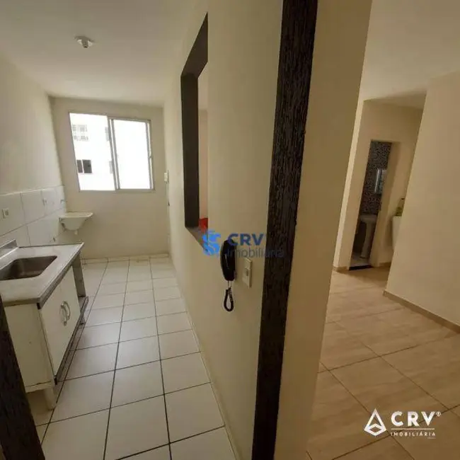 Apartamento com 2 quartos à venda, 46m2 em Gleba Fazenda Palhano, Londrina - PR - imagem 5 Foto 5 de Apartamento com 2 quartos à venda, 46m2 em Gleba Fazenda Palhano, Londrina - PR