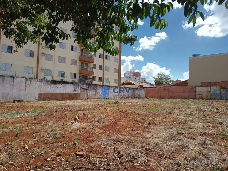 Foto 7 de Terreno / Lote à venda, 2400m2 em Vitória, Londrina - PR