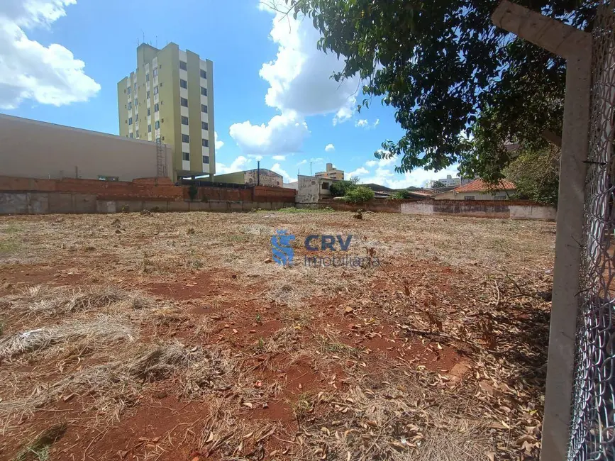 Foto 4 de Terreno / Lote à venda, 2400m2 em Vitória, Londrina - PR