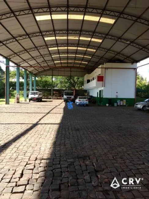 Armazém / Galpão à venda, 4499m2 em Cilo 3, Londrina - PR - imagem 7 Foto 7 de Armazém / Galpão à venda, 4499m2 em Cilo 3, Londrina - PR