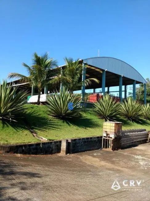 Foto 2 de Armazém / Galpão à venda, 4499m2 em Cilo 3, Londrina - PR