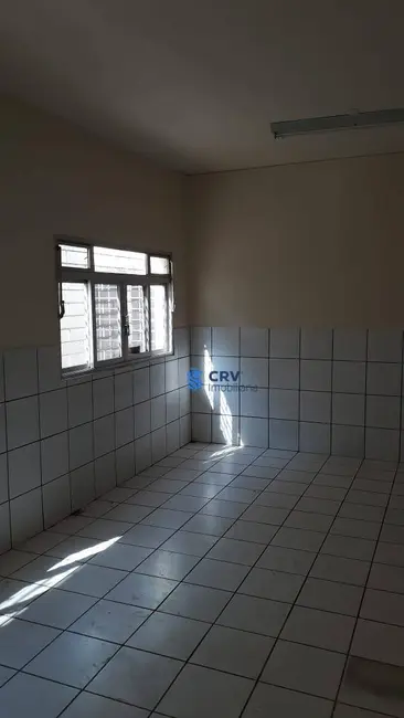 Casa com 2 quartos à venda e para alugar, 500m2 em Jardim Shangri-la A, Londrina - PR - imagem 7 Foto 7 de Casa com 2 quartos à venda e para alugar, 500m2 em Jardim Shangri-la A, Londrina - PR