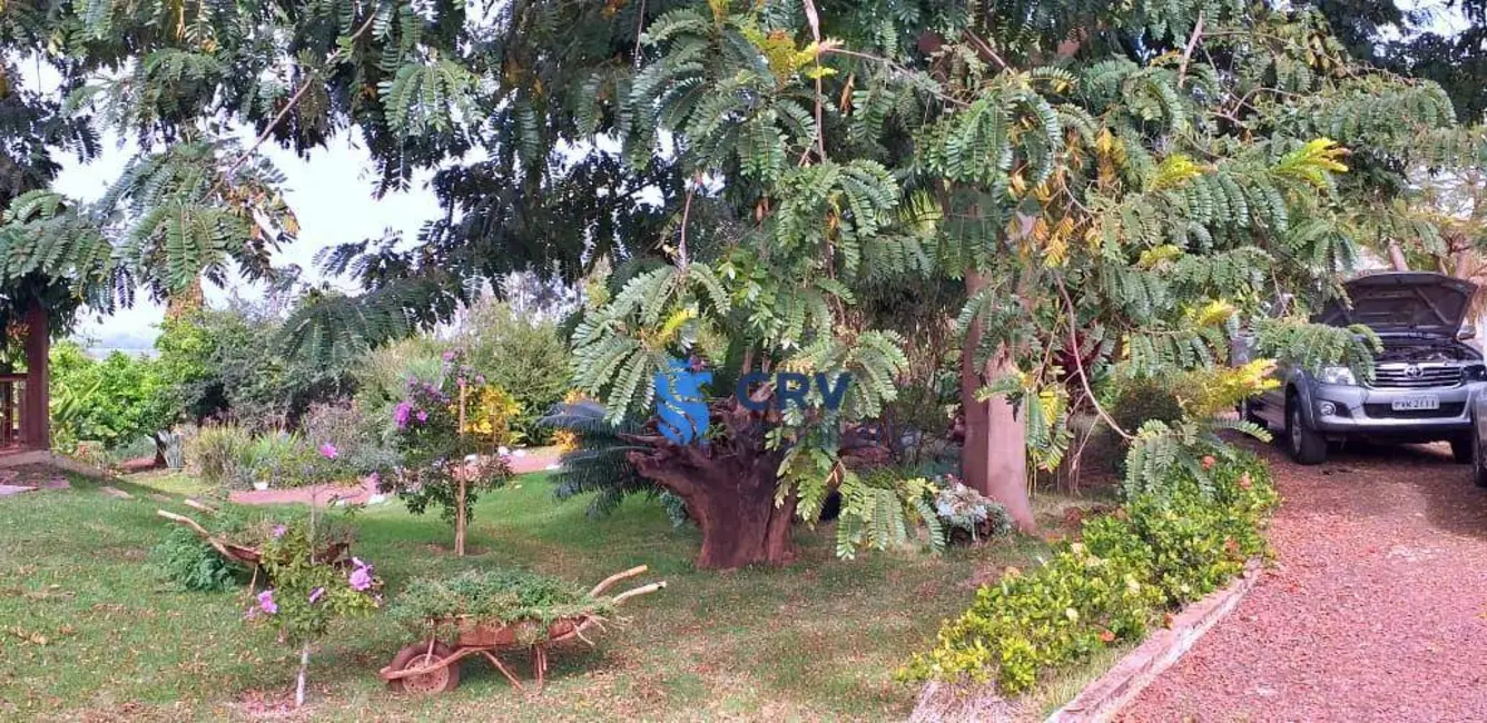 Chácara com 5 quartos à venda, 7979m2 em Sertanopolis - PR - imagem 7 Foto 7 de Chácara com 5 quartos à venda, 7979m2 em Sertanopolis - PR