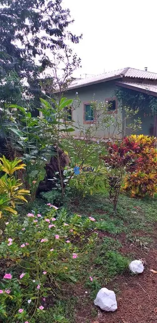 Chácara com 5 quartos à venda, 7979m2 em Sertanopolis - PR - imagem 6 Foto 6 de Chácara com 5 quartos à venda, 7979m2 em Sertanopolis - PR