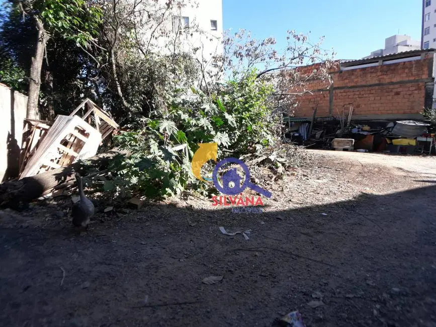 Terreno / Lote à venda, 1568m2 em Pampulha, Belo Horizonte - MG - imagem 7 Foto 7 de Terreno / Lote à venda, 1568m2 em Pampulha, Belo Horizonte - MG