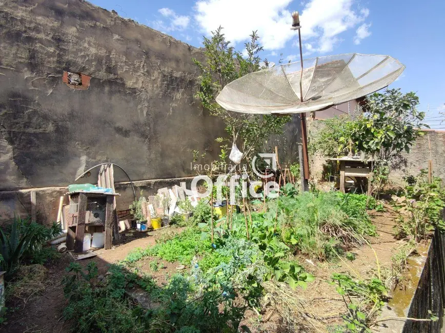 Foto 8 de Casa com 3 quartos à venda, 300m2 em Nova Alexandrina, Anapolis - GO