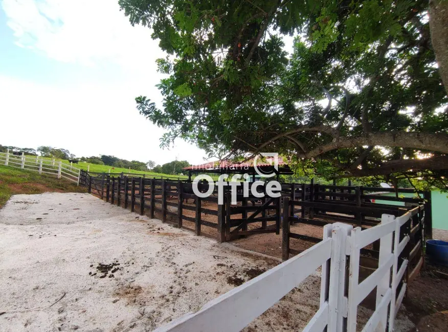 Chácara com 8 quartos à venda, 193600m2 em Sítios de Recreio Vale das Laranjeiras, Anapolis - GO - imagem 4 Foto 4 de Chácara com 8 quartos à venda, 193600m2 em Sítios de Recreio Vale das Laranjeiras, Anapolis - GO