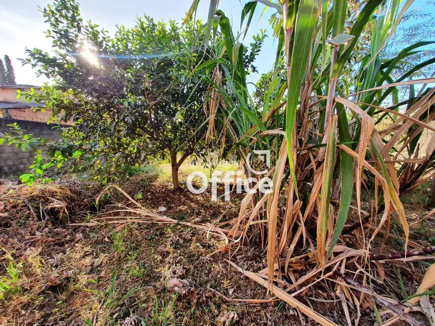 Foto 7 de Terreno / Lote à venda, 420m2 em Anápolis City, Anapolis - GO