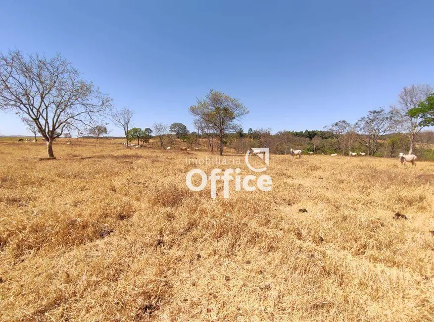 Foto 6 de Fazenda / Haras com 1 quarto à venda, 314600m2 em Parque das Nações, Anapolis - GO