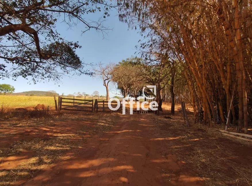 Foto 4 de Fazenda / Haras com 1 quarto à venda, 314600m2 em Parque das Nações, Anapolis - GO