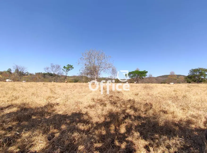 Foto 7 de Fazenda / Haras com 1 quarto à venda, 314600m2 em Parque das Nações, Anapolis - GO