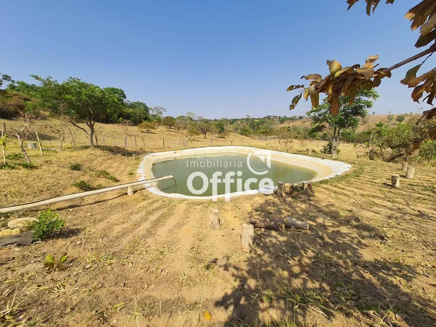 Foto 9 de Chácara com 4 quartos à venda, 7000m2 em Jardim Promissão, Anapolis - GO