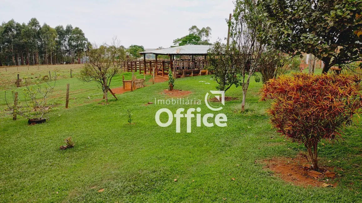 Chácara com 3 quartos à venda, 169400m2 em Santo Antônio, Anapolis - GO - imagem 7 Foto 7 de Chácara com 3 quartos à venda, 169400m2 em Santo Antônio, Anapolis - GO