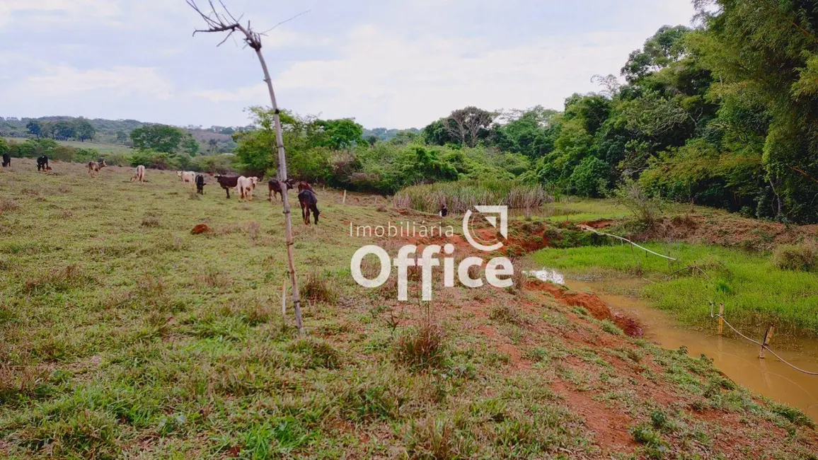 Chácara com 3 quartos à venda, 169400m2 em Santo Antônio, Anapolis - GO - imagem 9 Foto 9 de Chácara com 3 quartos à venda, 169400m2 em Santo Antônio, Anapolis - GO