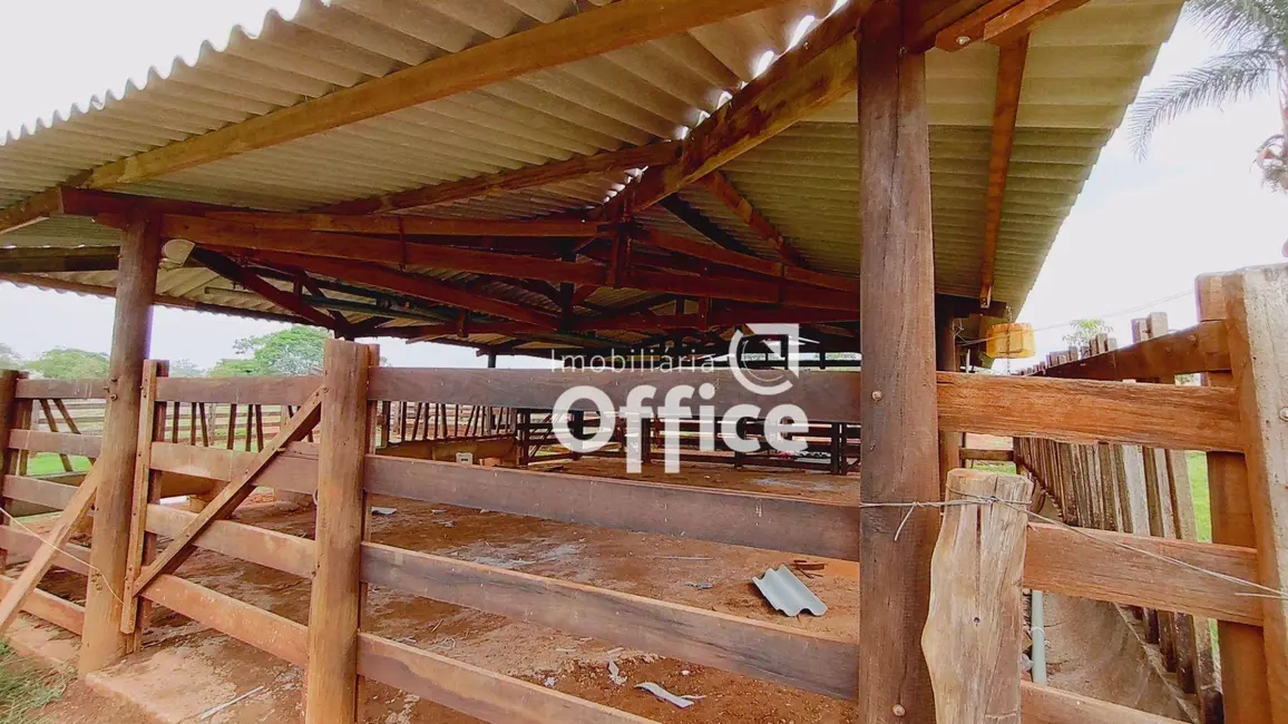 Chácara com 3 quartos à venda, 169400m2 em Santo Antônio, Anapolis - GO - imagem 8 Foto 8 de Chácara com 3 quartos à venda, 169400m2 em Santo Antônio, Anapolis - GO