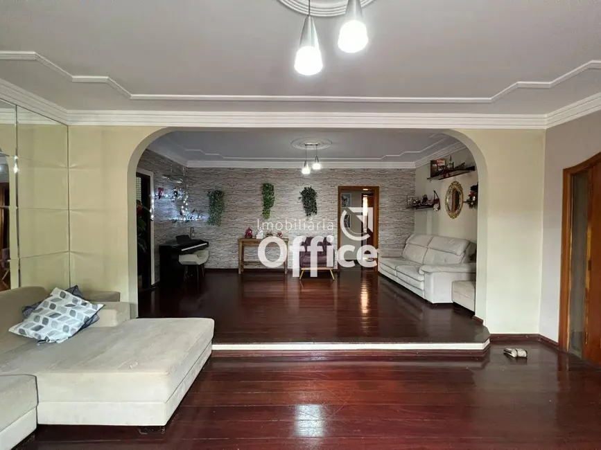 Foto 2 de Casa com 4 quartos à venda, 347m2 em Santo André, Anapolis - GO