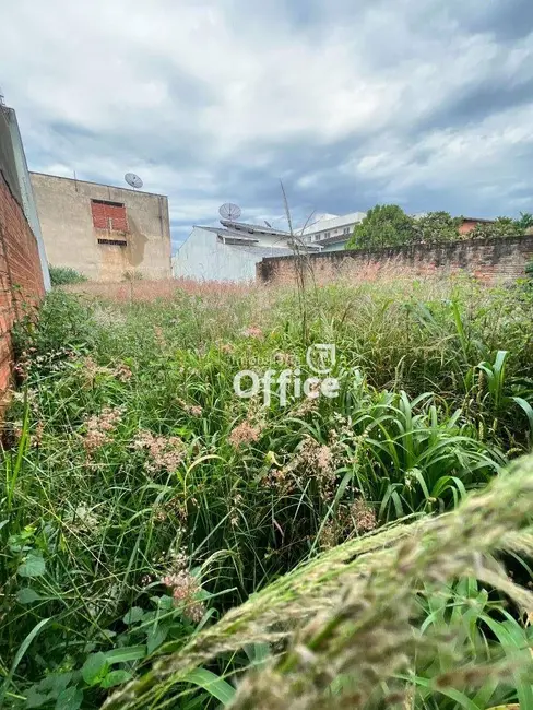 Terreno / Lote à venda, 300m2 em Setor Bougainville, Anapolis - GO - imagem 2 Foto 2 de Terreno / Lote à venda, 300m2 em Setor Bougainville, Anapolis - GO