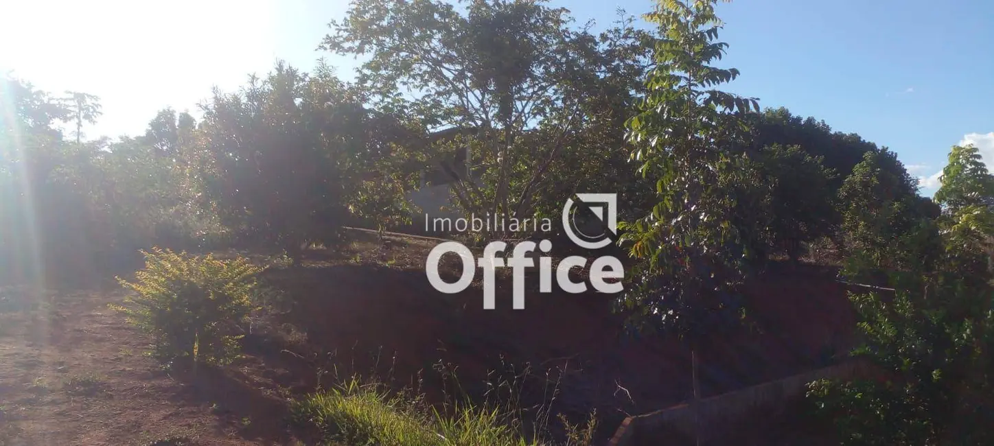 Foto 3 de Chácara com 4 quartos à venda, 8000m2 em Residencial Portal do Cerrado, Anapolis - GO