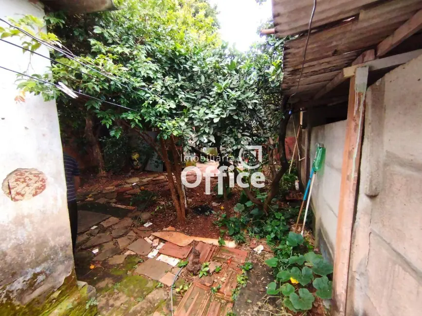 Casa com 3 quartos à venda, 375m2 em Maracanã, Anapolis - GO - imagem 8 Foto 8 de Casa com 3 quartos à venda, 375m2 em Maracanã, Anapolis - GO