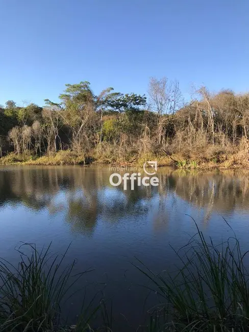 Chácara com 1 quarto à venda, 20000m2 em Jardim Promissão, Anapolis - GO - imagem 9 Foto 9 de Chácara com 1 quarto à venda, 20000m2 em Jardim Promissão, Anapolis - GO
