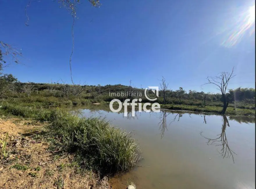 Chácara com 1 quarto à venda, 20000m2 em Jardim Promissão, Anapolis - GO - imagem 7 Foto 7 de Chácara com 1 quarto à venda, 20000m2 em Jardim Promissão, Anapolis - GO