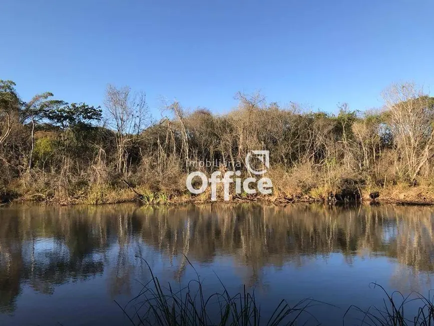 Chácara com 1 quarto à venda, 20000m2 em Jardim Promissão, Anapolis - GO - imagem 8 Foto 8 de Chácara com 1 quarto à venda, 20000m2 em Jardim Promissão, Anapolis - GO