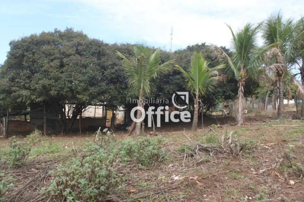 Chácara com 4 quartos à venda, 50000m2 em Vila Jaiara, Anapolis - GO - imagem 8 Foto 8 de Chácara com 4 quartos à venda, 50000m2 em Vila Jaiara, Anapolis - GO