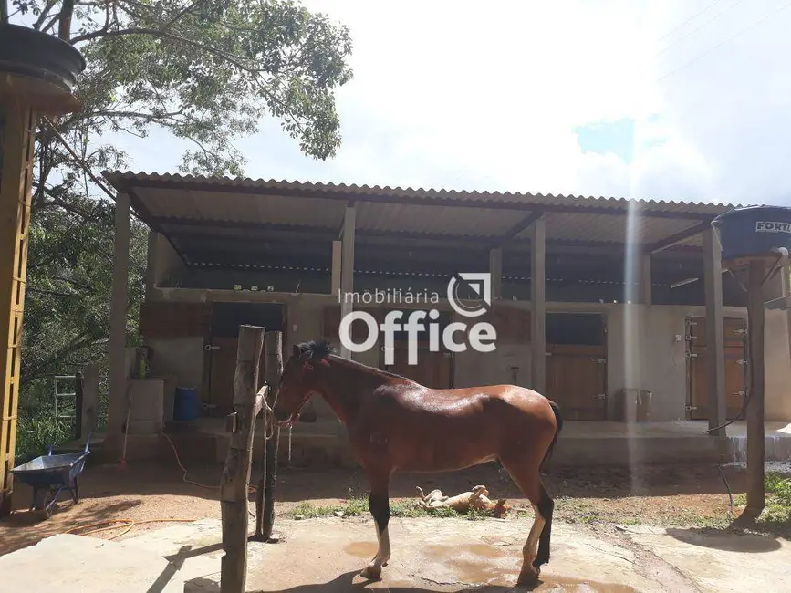 Foto 2 de Chácara com 4 quartos à venda, 25000m2 em Goianapolis - GO
