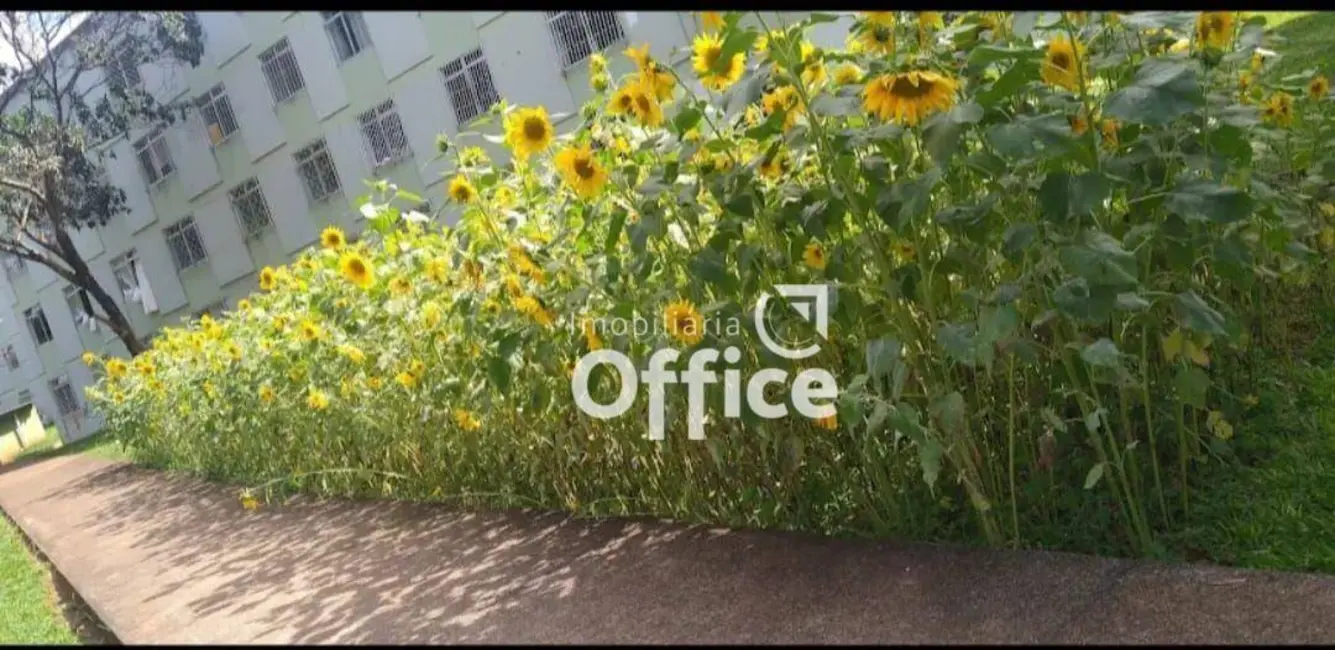 Foto 3 de Apartamento com 3 quartos à venda, 72m2 em Jundiaí, Anapolis - GO