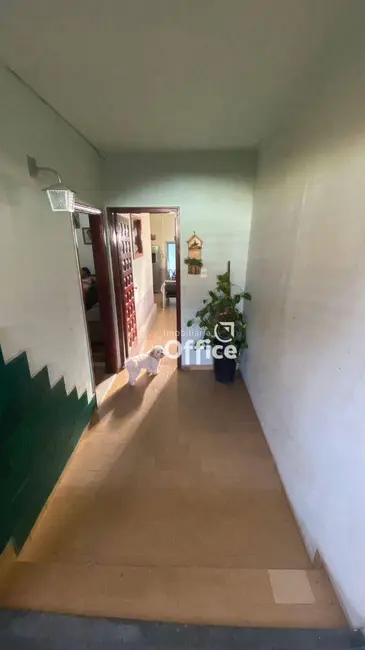 Foto 7 de Casa com 3 quartos à venda, 264m2 em Vila Formosa, Anapolis - GO