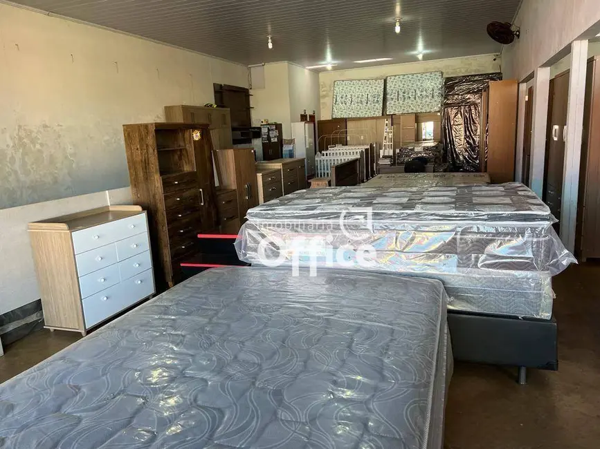 Armazém / Galpão para alugar, 352m2 em Parque Residencial das Flores, Anapolis - GO - imagem 8 Foto 8 de Armazém / Galpão para alugar, 352m2 em Parque Residencial das Flores, Anapolis - GO