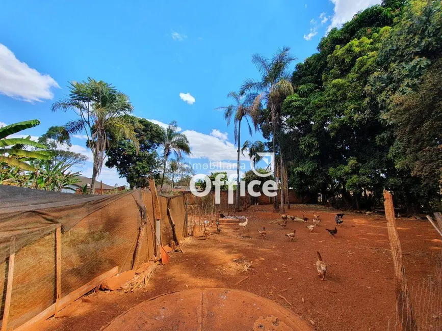 Chácara com 2 quartos à venda, 4200m2 em Chácaras Americanas, Anapolis - GO - imagem 6 Foto 6 de Chácara com 2 quartos à venda, 4200m2 em Chácaras Americanas, Anapolis - GO