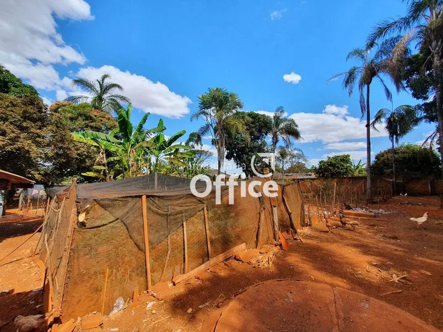 Chácara com 2 quartos à venda, 4200m2 em Chácaras Americanas, Anapolis - GO - imagem 9 Foto 9 de Chácara com 2 quartos à venda, 4200m2 em Chácaras Americanas, Anapolis - GO