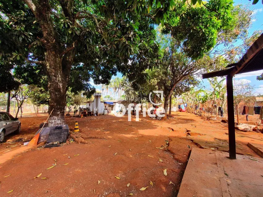 Chácara com 2 quartos à venda, 4200m2 em Chácaras Americanas, Anapolis - GO - imagem 8 Foto 8 de Chácara com 2 quartos à venda, 4200m2 em Chácaras Americanas, Anapolis - GO