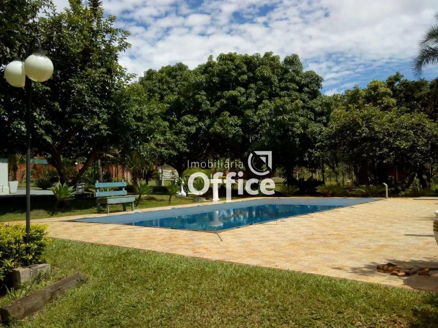 Chácara com 4 quartos à venda em Chácaras Americanas, Anapolis - GO - imagem 9 Foto 9 de Chácara com 4 quartos à venda em Chácaras Americanas, Anapolis - GO