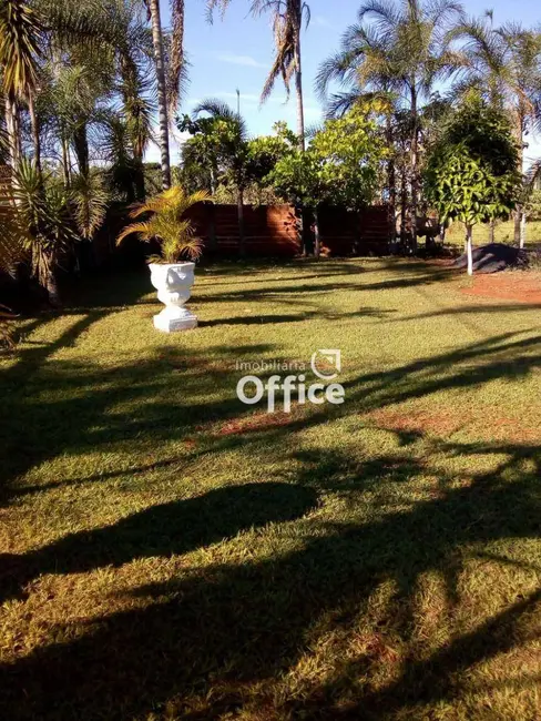 Chácara com 4 quartos à venda em Chácaras Americanas, Anapolis - GO - imagem 7 Foto 7 de Chácara com 4 quartos à venda em Chácaras Americanas, Anapolis - GO