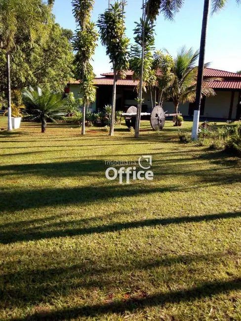 Chácara com 4 quartos à venda em Chácaras Americanas, Anapolis - GO - imagem 6 Foto 6 de Chácara com 4 quartos à venda em Chácaras Americanas, Anapolis - GO