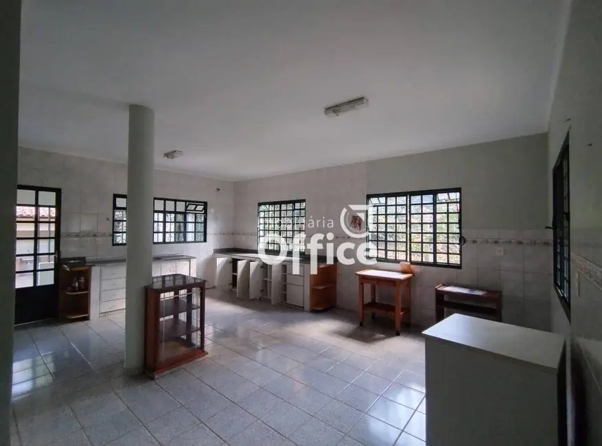 Chácara com 2 quartos à venda, 7000m2 em Anapolis - GO - imagem 6 Foto 6 de Chácara com 2 quartos à venda, 7000m2 em Anapolis - GO