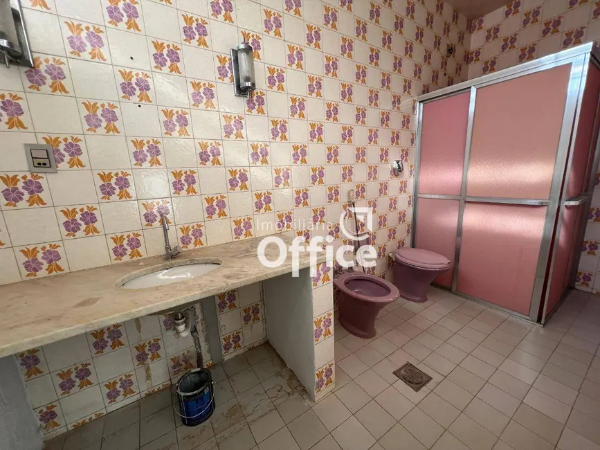 Loja para alugar, 370m2 em Setor Central, Anapolis - GO - imagem 5 Foto 5 de Loja para alugar, 370m2 em Setor Central, Anapolis - GO