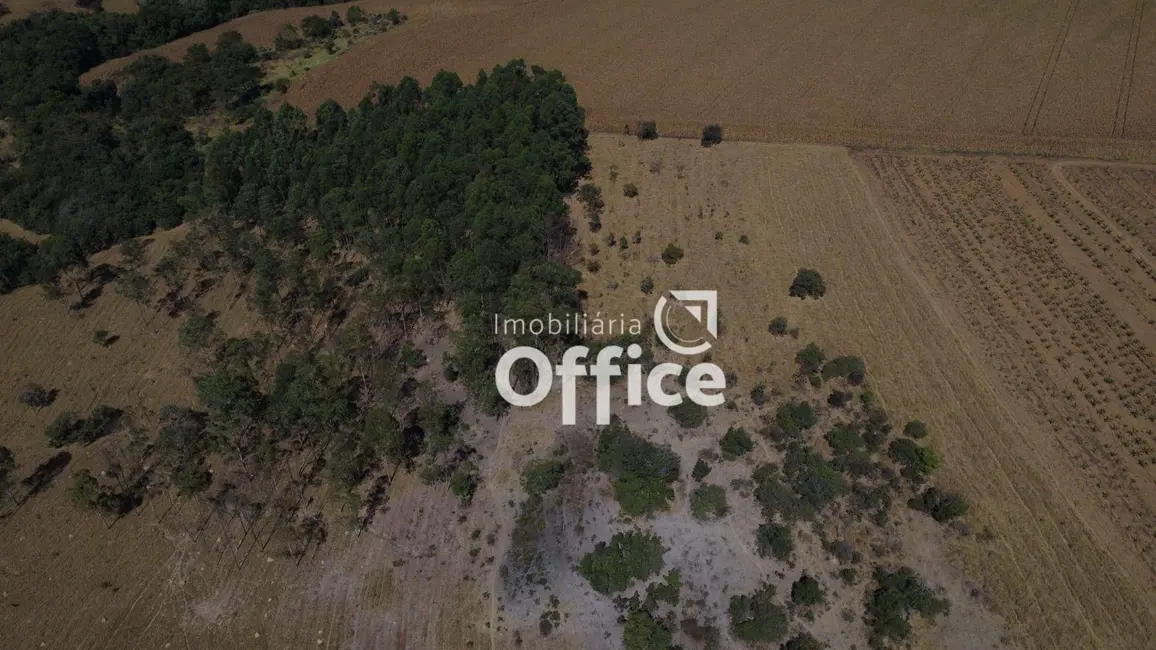 Chácara com 4 quartos à venda, 285560m2 em Anapolis - GO - imagem 5 Foto 5 de Chácara com 4 quartos à venda, 285560m2 em Anapolis - GO