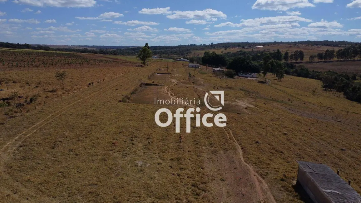 Chácara com 4 quartos à venda, 285560m2 em Anapolis - GO - imagem 4 Foto 4 de Chácara com 4 quartos à venda, 285560m2 em Anapolis - GO