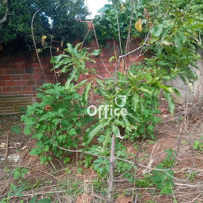 Terreno / Lote à venda, 250m2 em Jardim Arco Verde, Anapolis - GO - imagem 8 Foto 8 de Terreno / Lote à venda, 250m2 em Jardim Arco Verde, Anapolis - GO