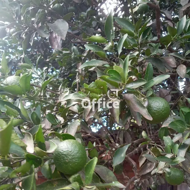 Terreno / Lote à venda, 250m2 em Jardim Arco Verde, Anapolis - GO - imagem 7 Foto 7 de Terreno / Lote à venda, 250m2 em Jardim Arco Verde, Anapolis - GO