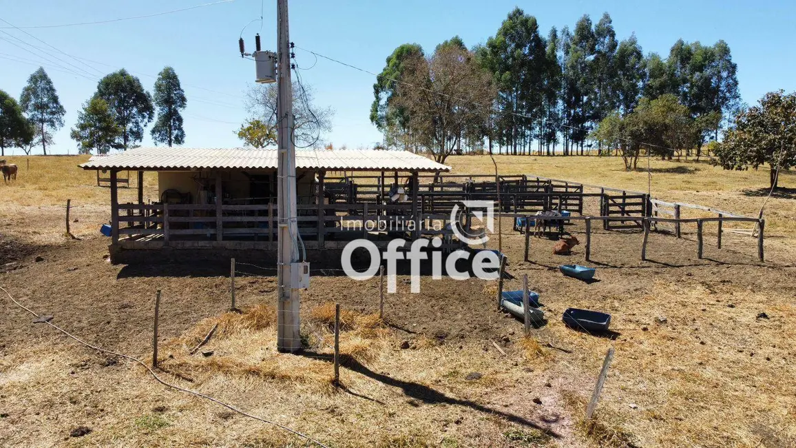Foto 4 de Chácara com 2 quartos à venda, 193600m2 em Sao Miguel Do Passa Quatro - GO