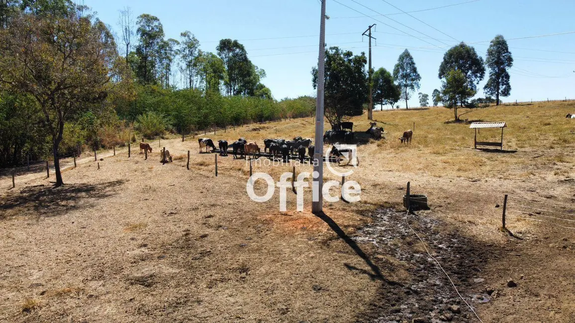 Foto 2 de Chácara com 2 quartos à venda, 193600m2 em Sao Miguel Do Passa Quatro - GO